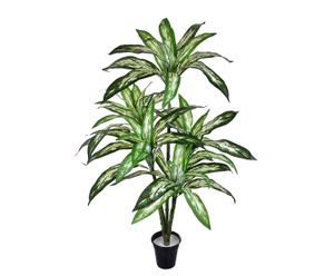 Planta Permanente Difenbachia Tropical - 80X140cm | Westwing.com.br